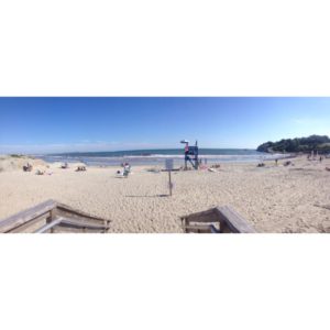 11850815_10153293749983961_1224697919_n